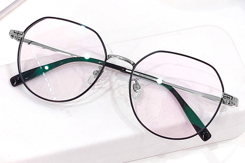 TC8221 Eyeglasses Black Silver