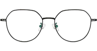 TC8221 Eyeglasses Silver