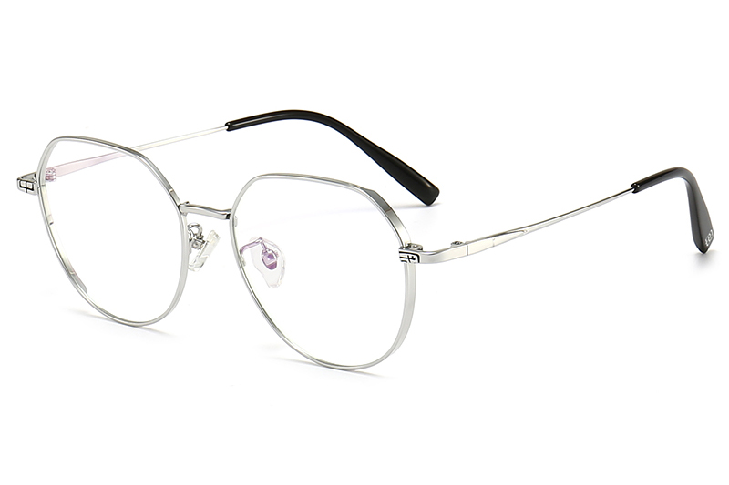 TC8221 Eyeglasses Silver