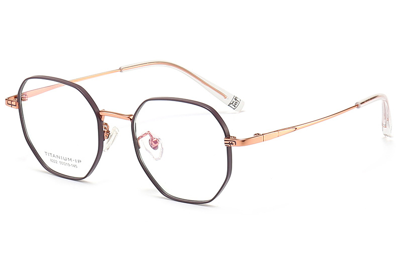 TC8222 Eyeglasses Purple Gold