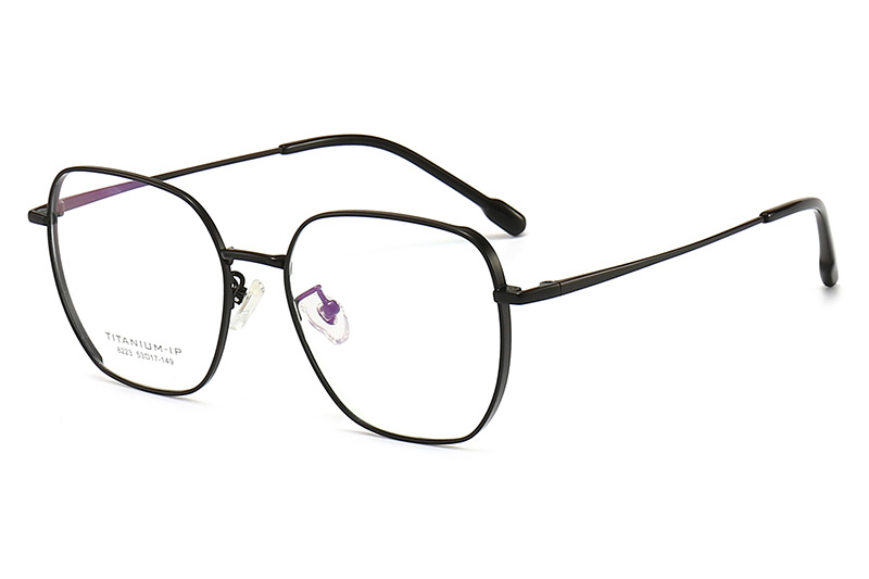 TC8223 Eyeglasses Black