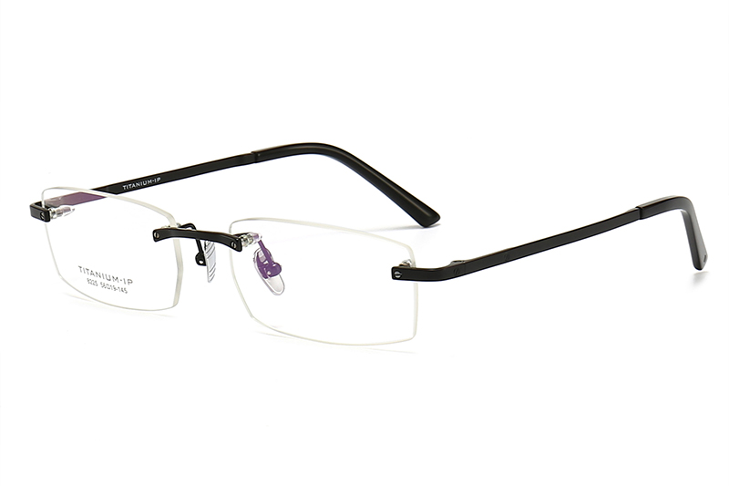 TC8225 Eyeglasses Black