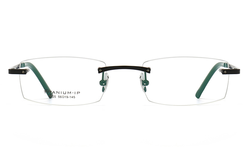 TC8225 Eyeglasses Black