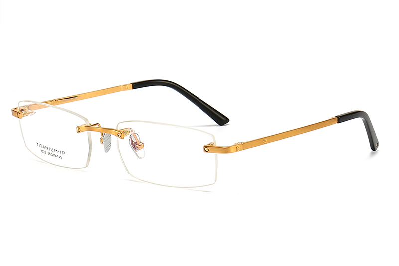 TC8225 Eyeglasses Gold