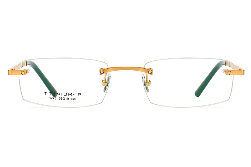 TC8225 Eyeglasses Gold