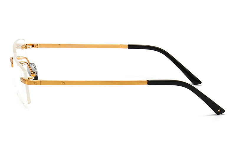 TC8225 Eyeglasses Gold