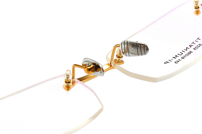 TC8225 Eyeglasses Gold