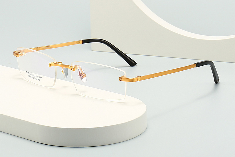 TC8225 Eyeglasses Gold