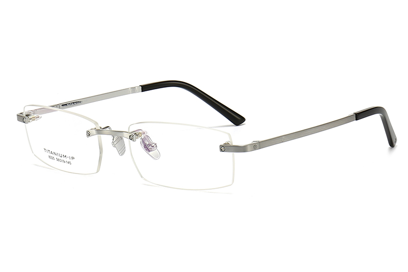 TC8225 Eyeglasses Silver