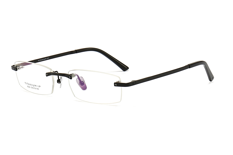 TC8226 Eyeglasses Black