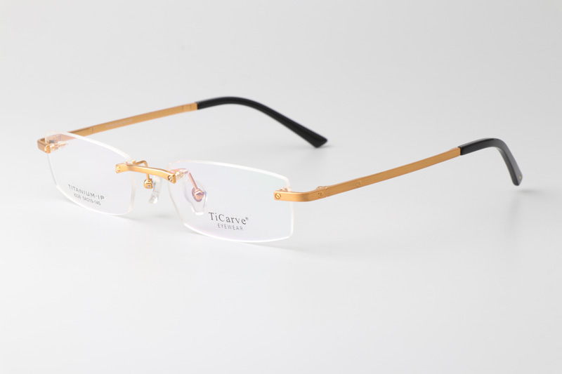 TC8226 Eyeglasses Gold