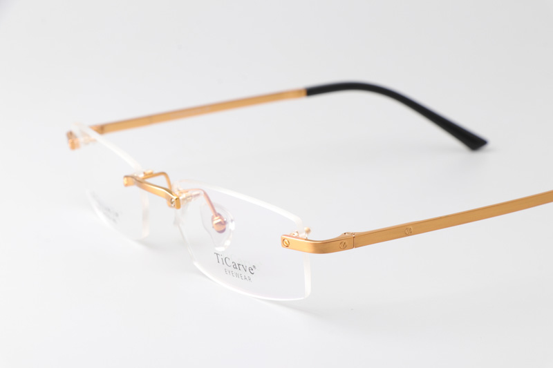 TC8226 Eyeglasses Gold