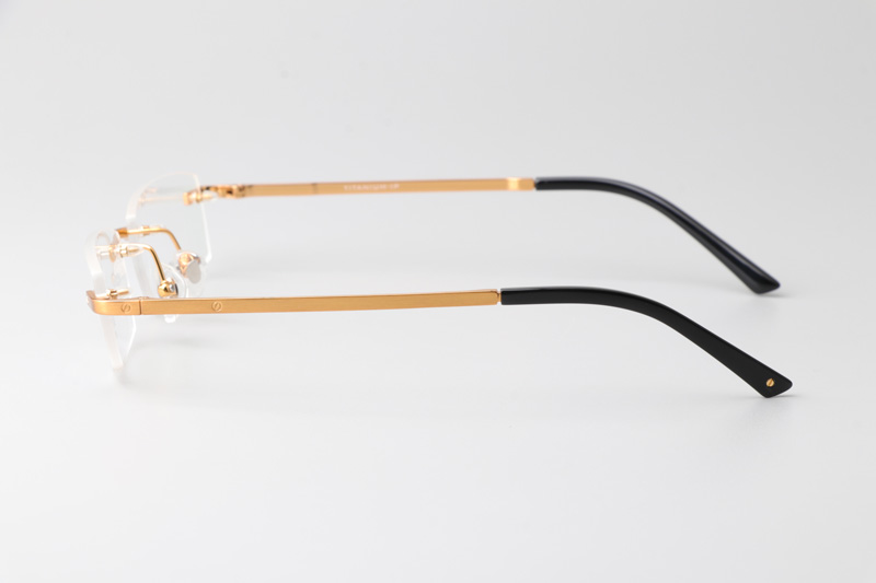 TC8226 Eyeglasses Gold