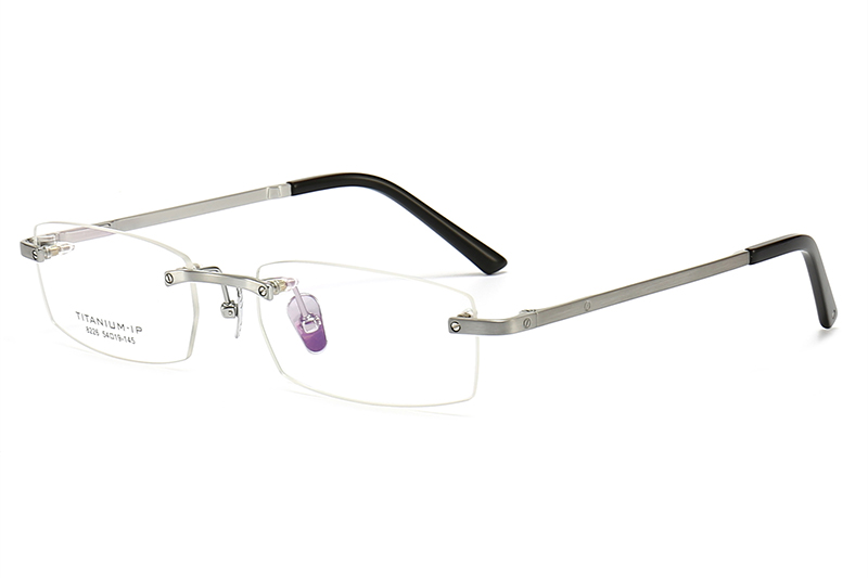TC8226 Eyeglasses Silver