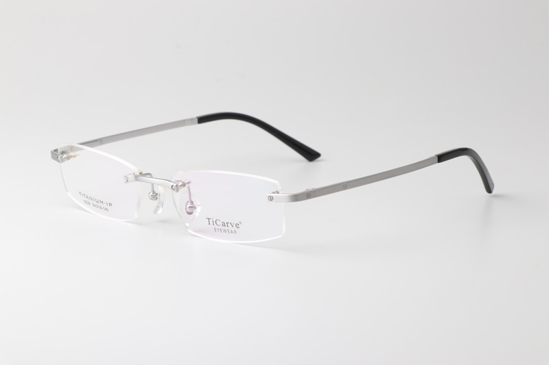 TC8226 Eyeglasses Silver