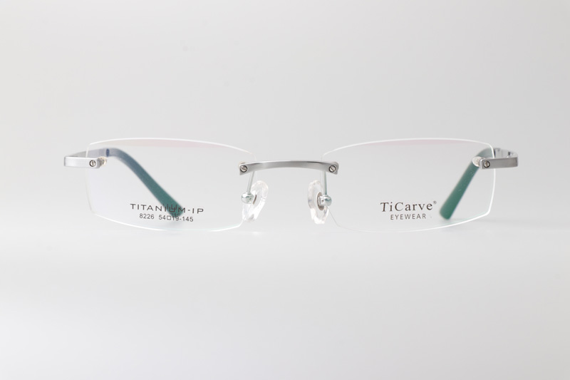 TC8226 Eyeglasses Silver