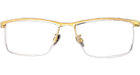 TC8227 Eyeglasses Gold