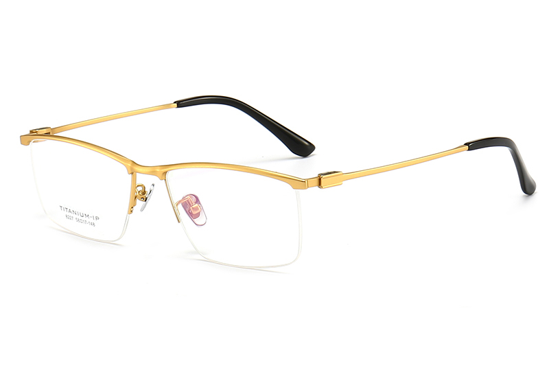 TC8227 Eyeglasses Gold