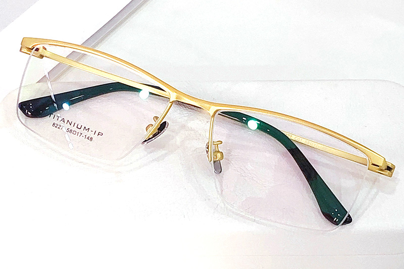 TC8227 Eyeglasses Gold