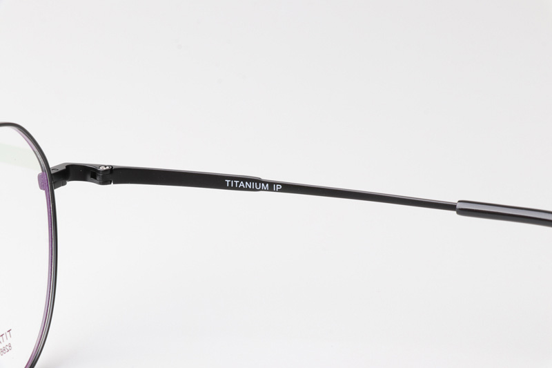 TC8286 Eyeglasses Black