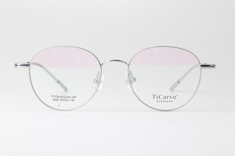 TC8288 Eyeglasses Silver