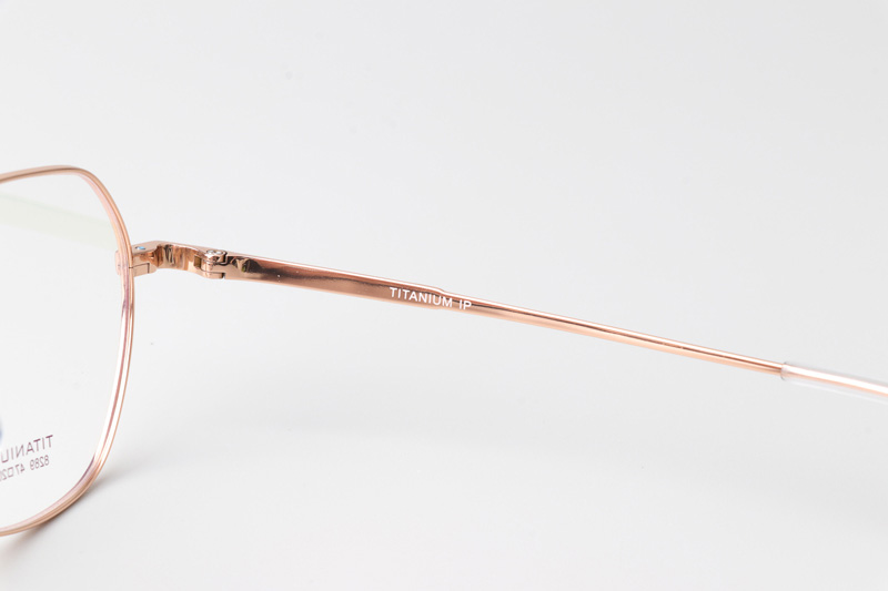 TC8289 Eyeglasses Rose Gold