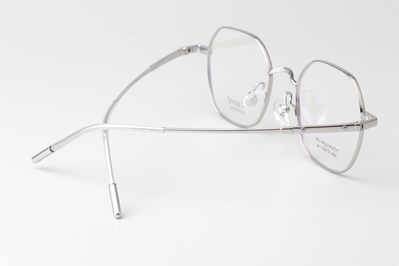 TC8289 Eyeglasses Silver