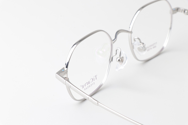 TC8289 Eyeglasses Silver