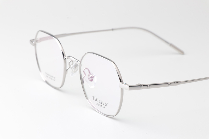 TC8289 Eyeglasses Silver