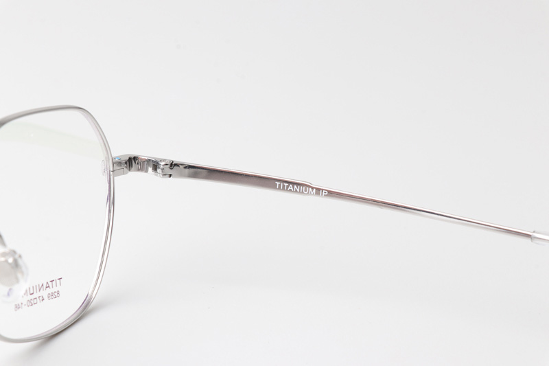 TC8289 Eyeglasses Silver