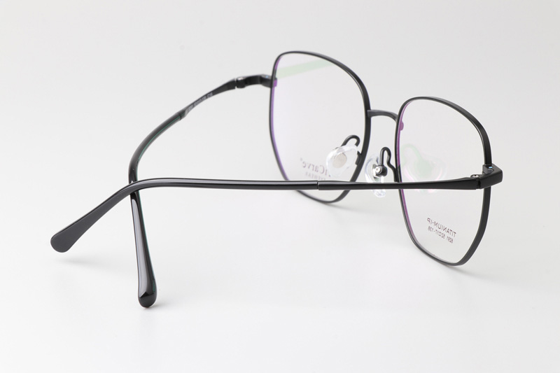 TC8291 Eyeglasses Black