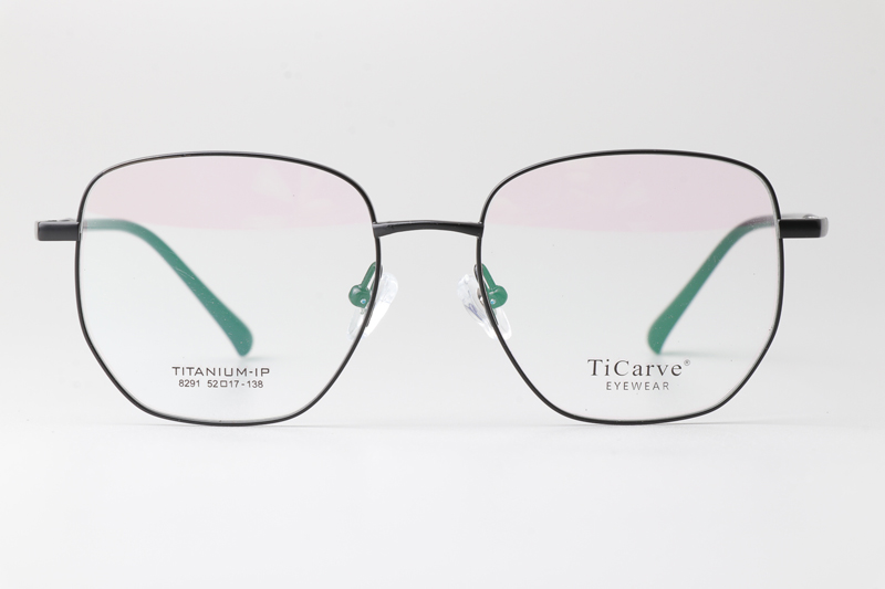 TC8291 Eyeglasses Black