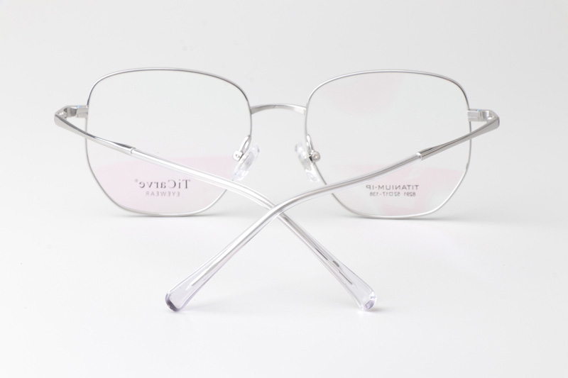 TC8291 Eyeglasses Silver