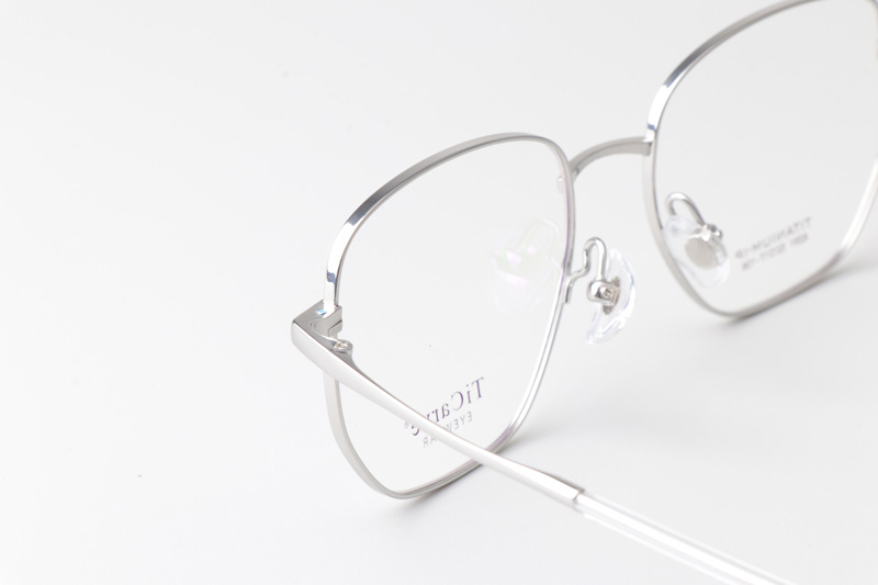 TC8291 Eyeglasses Silver