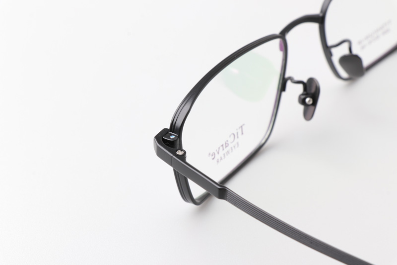 TC8294 Eyeglasses Black