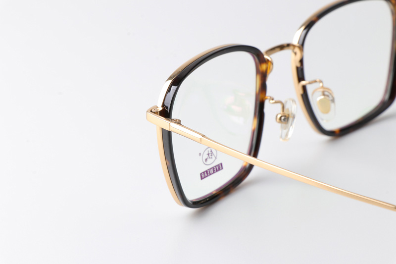 TCS3091 Eyeglasses Tortoise Gold