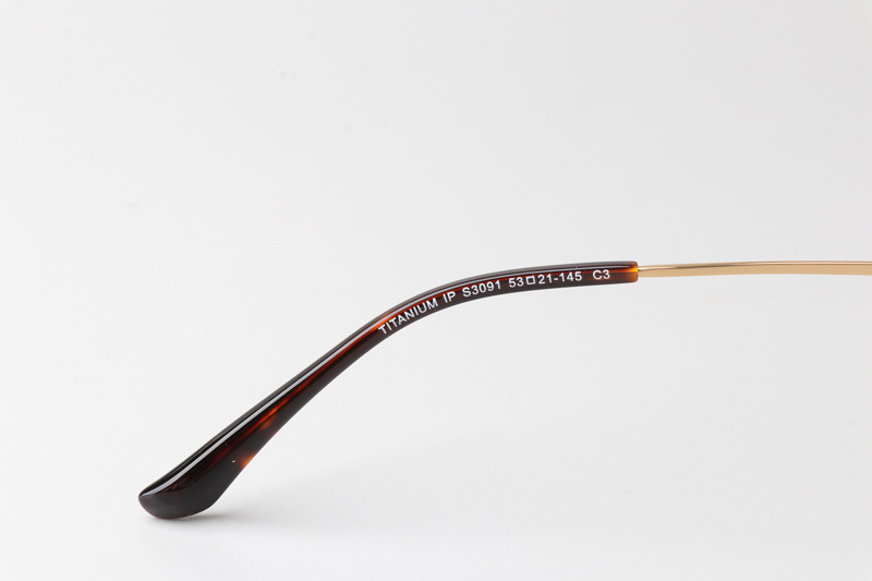 TCS3091 Eyeglasses Tortoise Gold