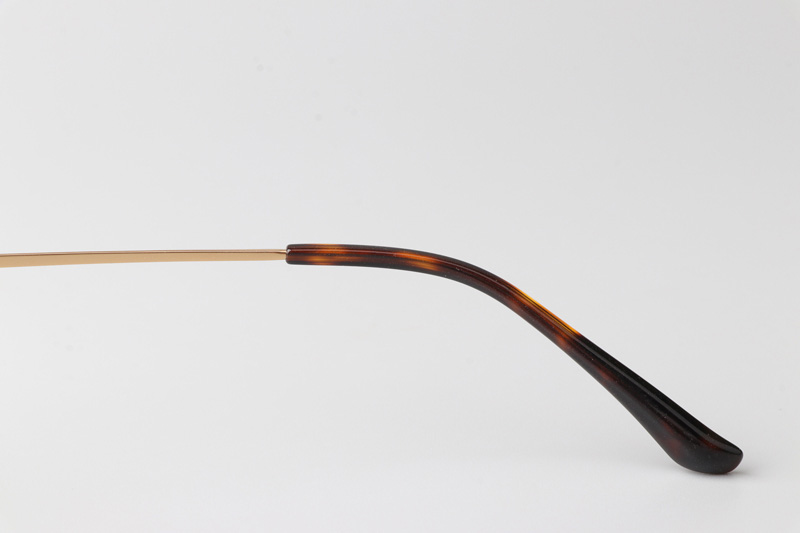 TCS3094 Eyeglasses Tortoise Gold
