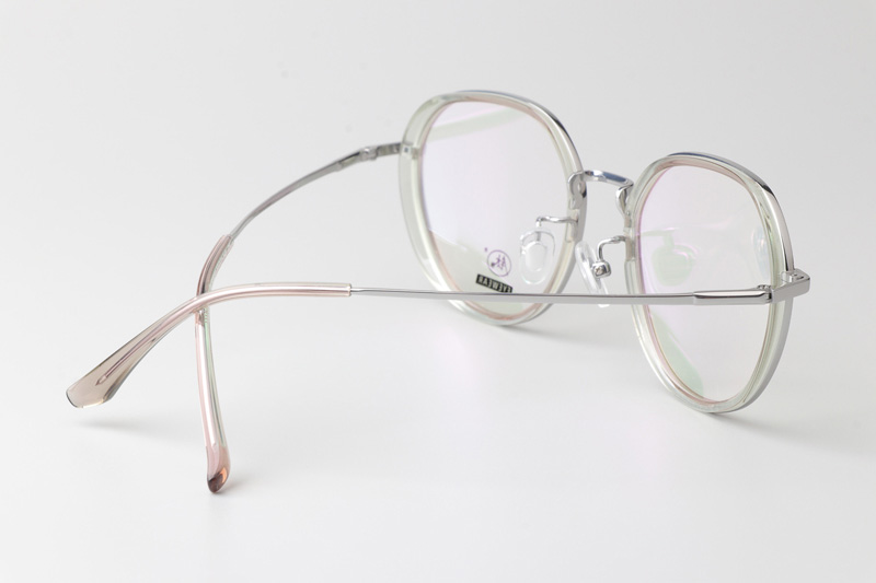 TCS3094 Eyeglasses Transparent Brown Silver