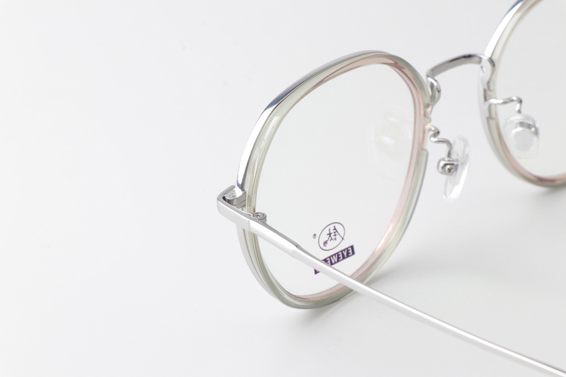 TCS3094 Eyeglasses Transparent Brown Silver