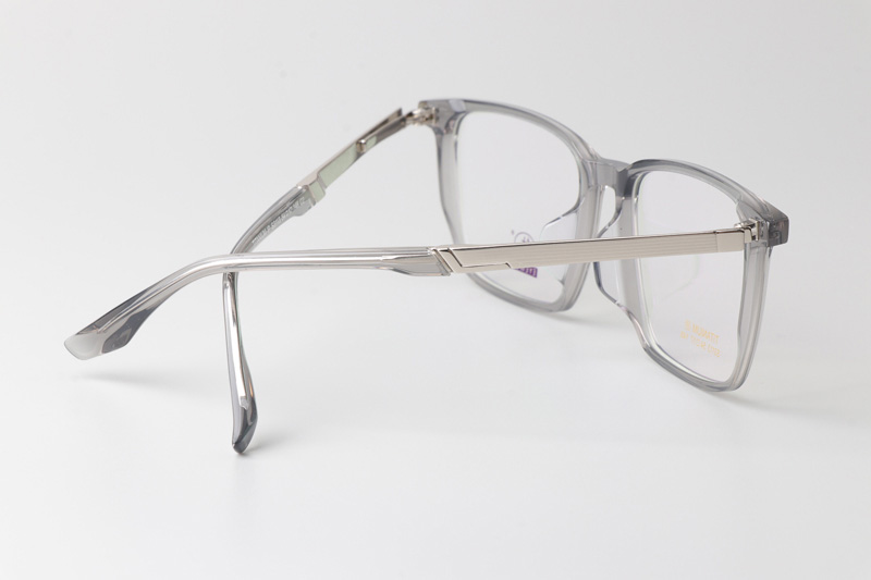 TCS3113 Eyeglasses Clear Gray Silver