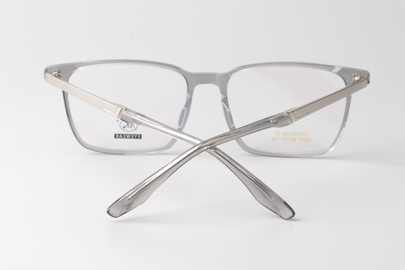 TCS3113 Eyeglasses Clear Gray Silver