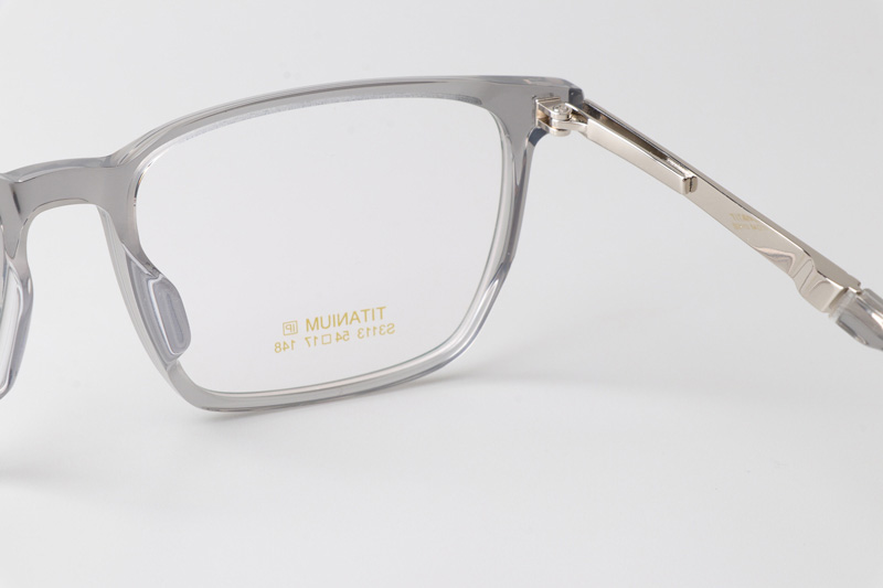 TCS3113 Eyeglasses Clear Gray Silver