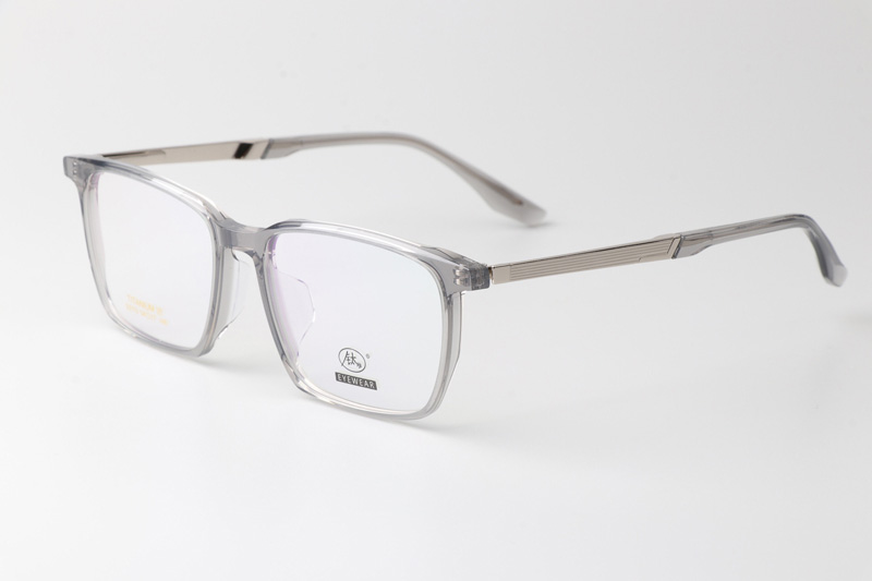 TCS3113 Eyeglasses Clear Gray Silver