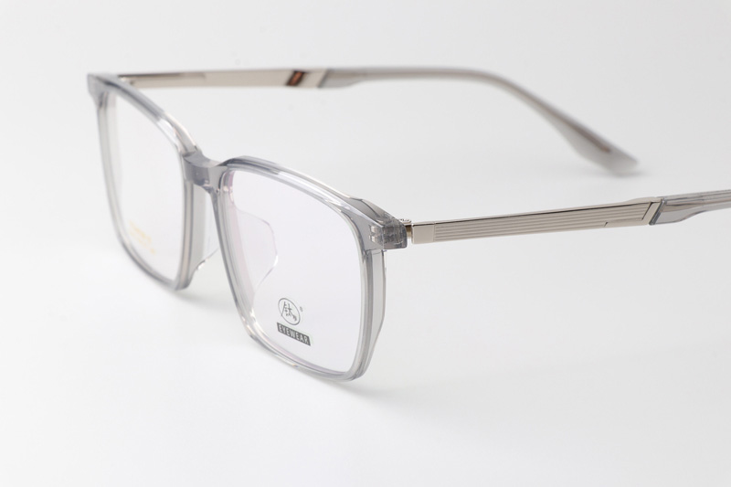 TCS3113 Eyeglasses Clear Gray Silver