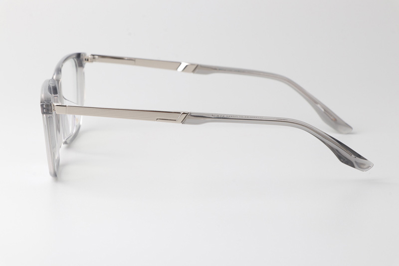 TCS3113 Eyeglasses Clear Gray Silver