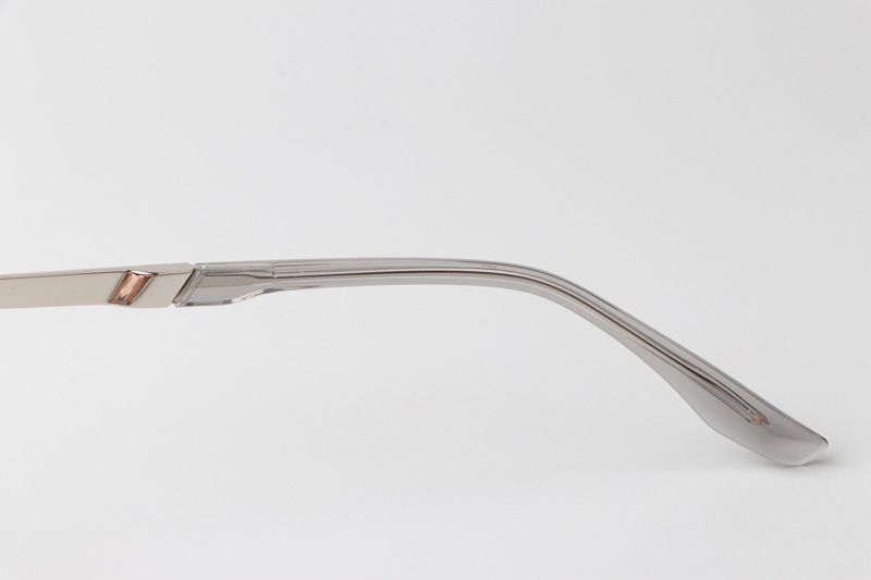 TCS3113 Eyeglasses Clear Gray Silver