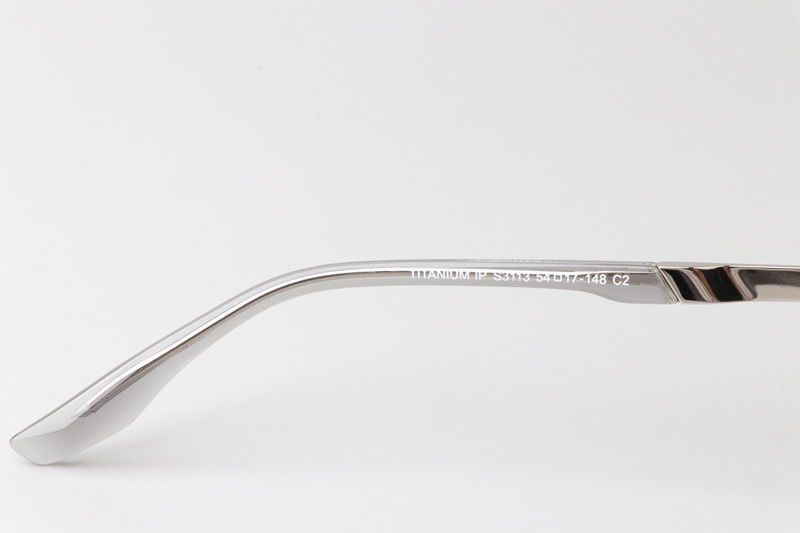 TCS3113 Eyeglasses Clear Gray Silver