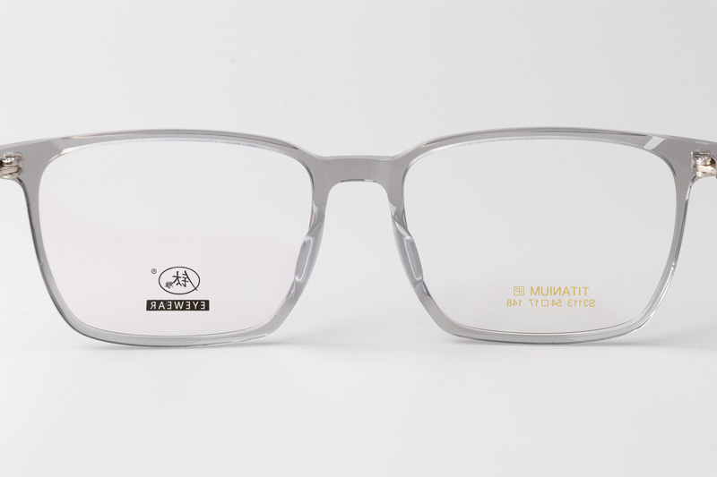 TCS3113 Eyeglasses Clear Gray Silver