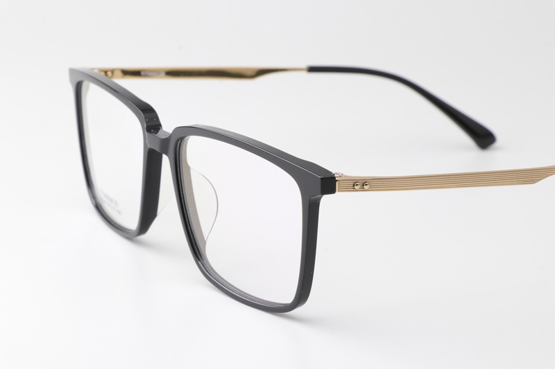 TCS7849 Eyeglasses Black Gold